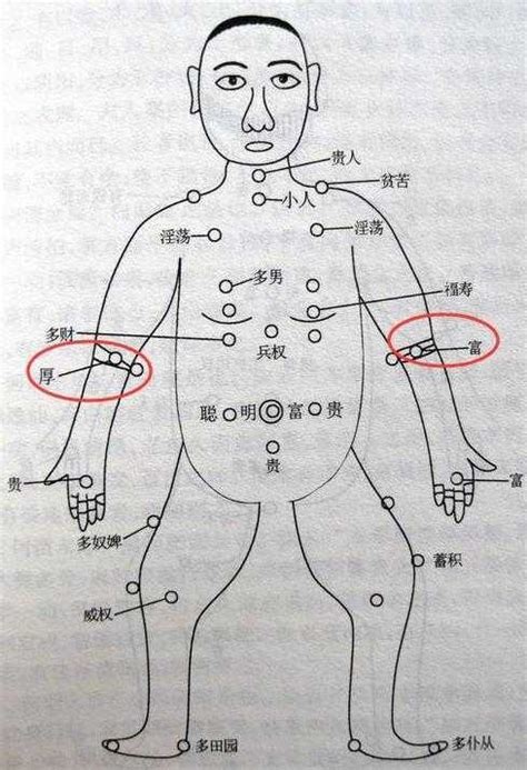 左手臂内侧有痣|從手上的痣看你的好運在哪？上手臂有痣善於察言觀色。